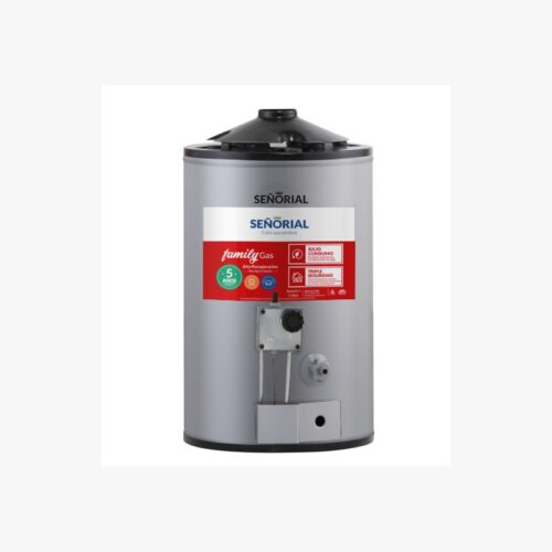 TRMTNQ GAS  30L SEÑORIAL FAMILY ALTA REC GRIS